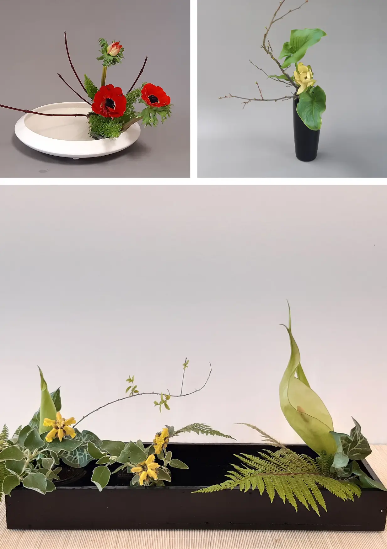 PHOTO IKEBANA